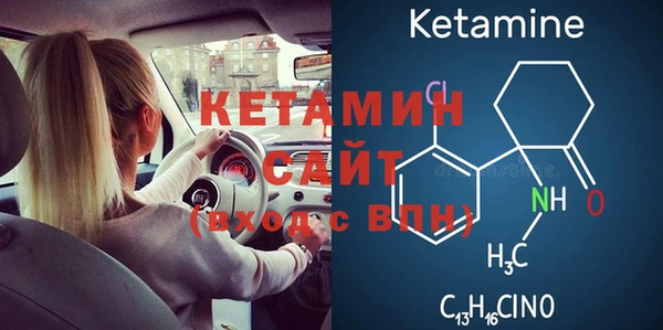 сатива Балахна